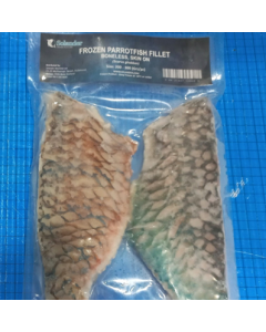 Parrotfish Fillets 10kg/Frozen