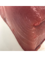 Sashimi Blocks Albacore Tuna NZ Fresh  