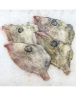 John Dory Fillets Skin On Boneless 1kg/Fresh