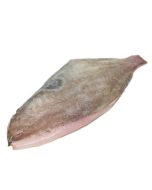 Buy John Dory Fillets