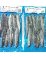 Layang Scad Whole Round 10 x 1kg Retail Packs/Frozen 