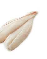 Orange Roughy Skin Off Bone Out Fillets 5kg Shatterpack/Frozen