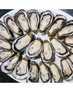 Pacific Oysters Marlborough Half Shell (Dozen)/Fresh - SUBJECT TO PRE ORDERS