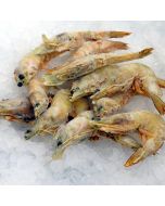 Prawns Australian Wild Caught U15 Banana 5kg Carton/Frozen 