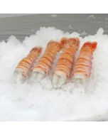 Scampi Tails NZ GT Ungraded 4kg Carton/Frozen