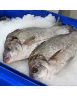 Tarakihi Gilled & Gutted per 1kg/Fresh