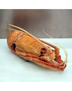 Crayfish Whole Cooked (360-440g) Australian Wild Caught Per Kg/Frozen 