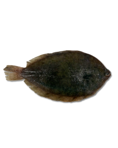 Lemon Sole Gilled & Gutted per 1kg/Fresh