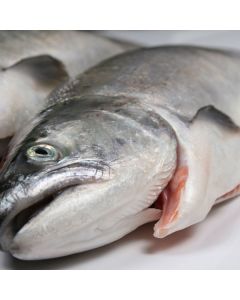 Salmon Mt Cook Gilled & Gutted (2-3kg each) Per kg/Fresh