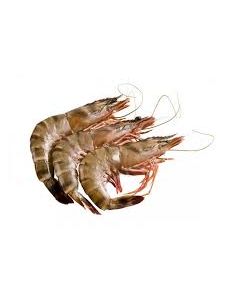 Prawns Australian Wild Caught 10/20 Tiger Per kg/Frozen