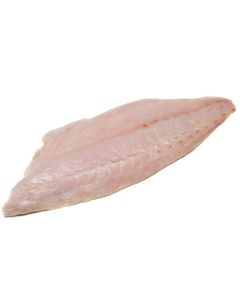 Blue Warehou Skin Off Bone Out Fillets 5kg Shatterpack/Frozen 