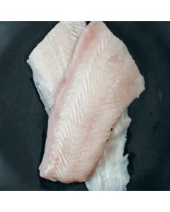 Elephant Fish Skinless Boneless Fillets 5kg Shatterpack/Frozen 