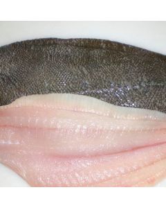 Sand Flounder Skin On Boneless Fillets 5kg Shatterpack/Frozen