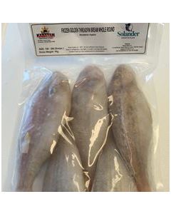 Golden Threadfin Bream 10kg/Frozen