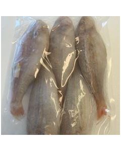 Golden Threadfin Bream 10kg Carton/Frozen