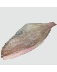 John Dory Skin On Boneless Fillets 5kg Shatterpack/Frozen