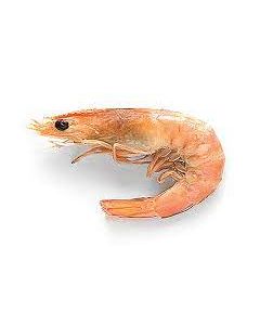 Prawns Wild Caught King (Australian) U8 1kg/Frozen