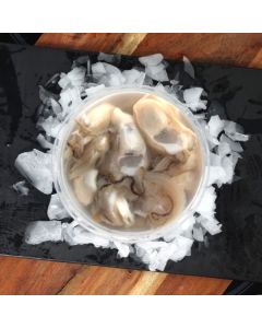 Nelson Dredge Oysters Premium Grade Shucked 1 Dozen/Fresh