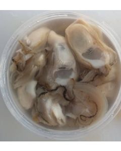 Nelson Dredge Oysters 2nd Grade Shucked 1 Dozen/Fresh