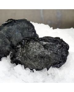 Paua Wild Blackfoot Meat 2kg Pack/Frozen