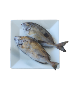Rabbit Fish Whole Round 10kg Carton/Frozen 