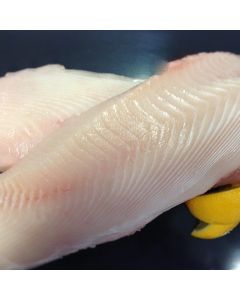Sea Perch Skinless Boneless Fillets 5kg Shatterpack/Frozen