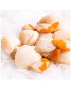 Scallops Tasmanian 500g Pack/Frozen