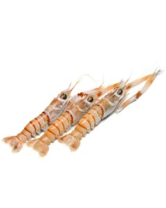 Scampi NZ Whole G2 (65g) 2kg Box/Frozen