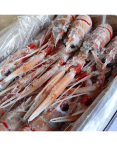 Scampi NZ Whole G2 (65g) 2kg Box/Frozen