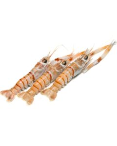 Scampi NZ Whole G2 (65g) 2kg Pack/Frozen
