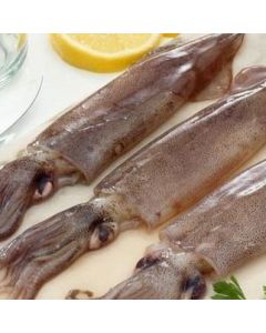 Squid NZ Whole Premium Per 1kg/Frozen