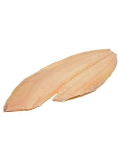 Turbot, Skin Off Bone Out Fillets, Frozen 5kg shatter pack