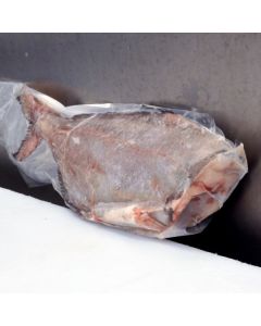 White Warehou Headed & Gutted Per Kg/Frozen