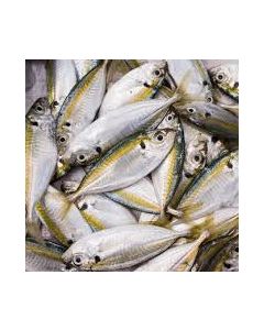 Yellow Stripe Trevally Whole Round 10kg Carton/Frozen 